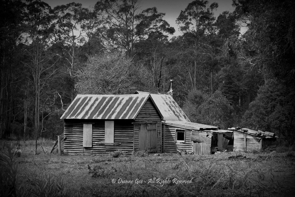 Old Settler’s Hut by Dianne Gee