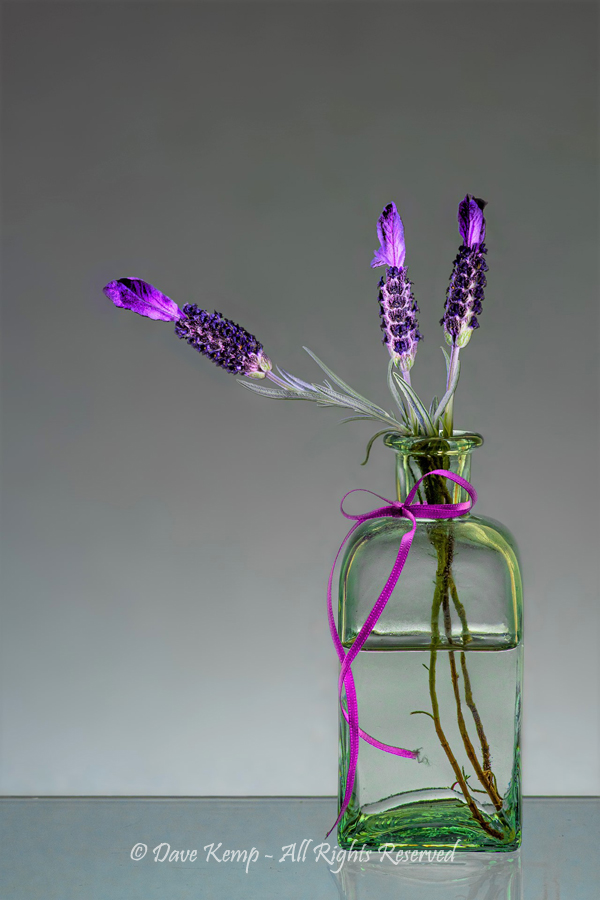 Jar of Lavender by Dave Kemp