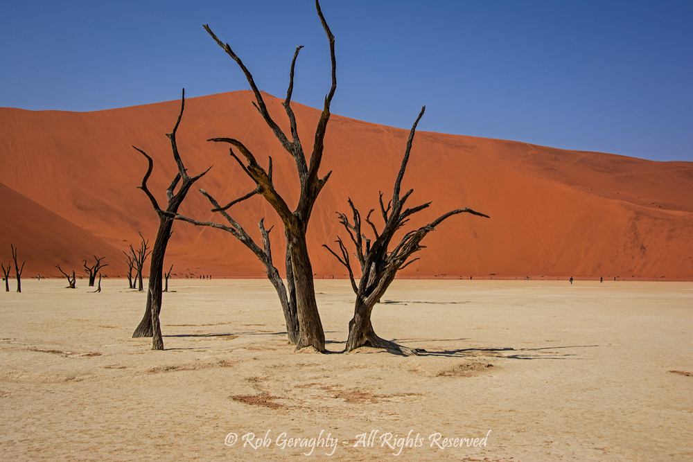 Namib by Rob Geraghty
